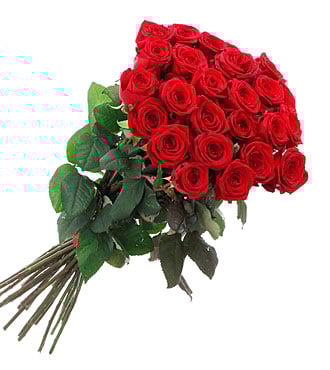 Long Stem Red Roses