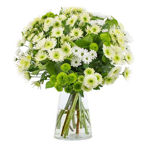 White Chrysanthemums